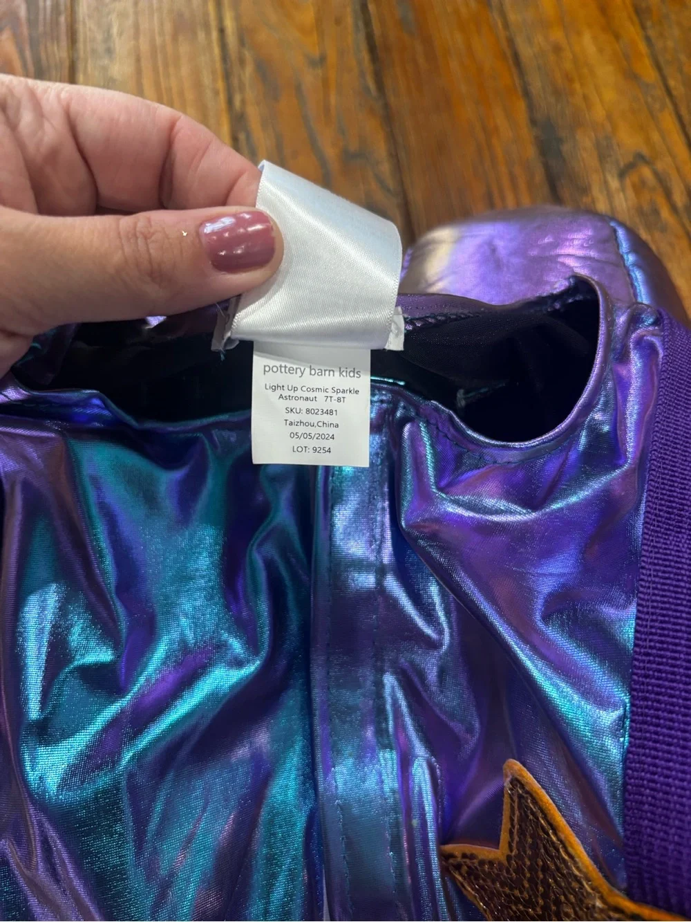 Pottery Barn Kids shiny iridescent